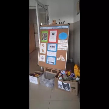 Podsumowanie szkolnej akcji „Pomóżmy bezdomnym zwierzętom”