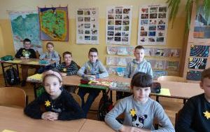 Akcja społeczno-edukacyjna Żonkile (5)